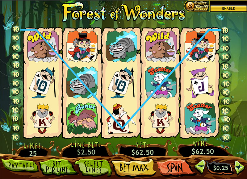 Forest Of Wonders